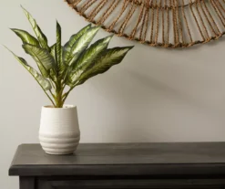 Zebra Plant In Ceramic Pot -Broyhill Shop 810509522 2