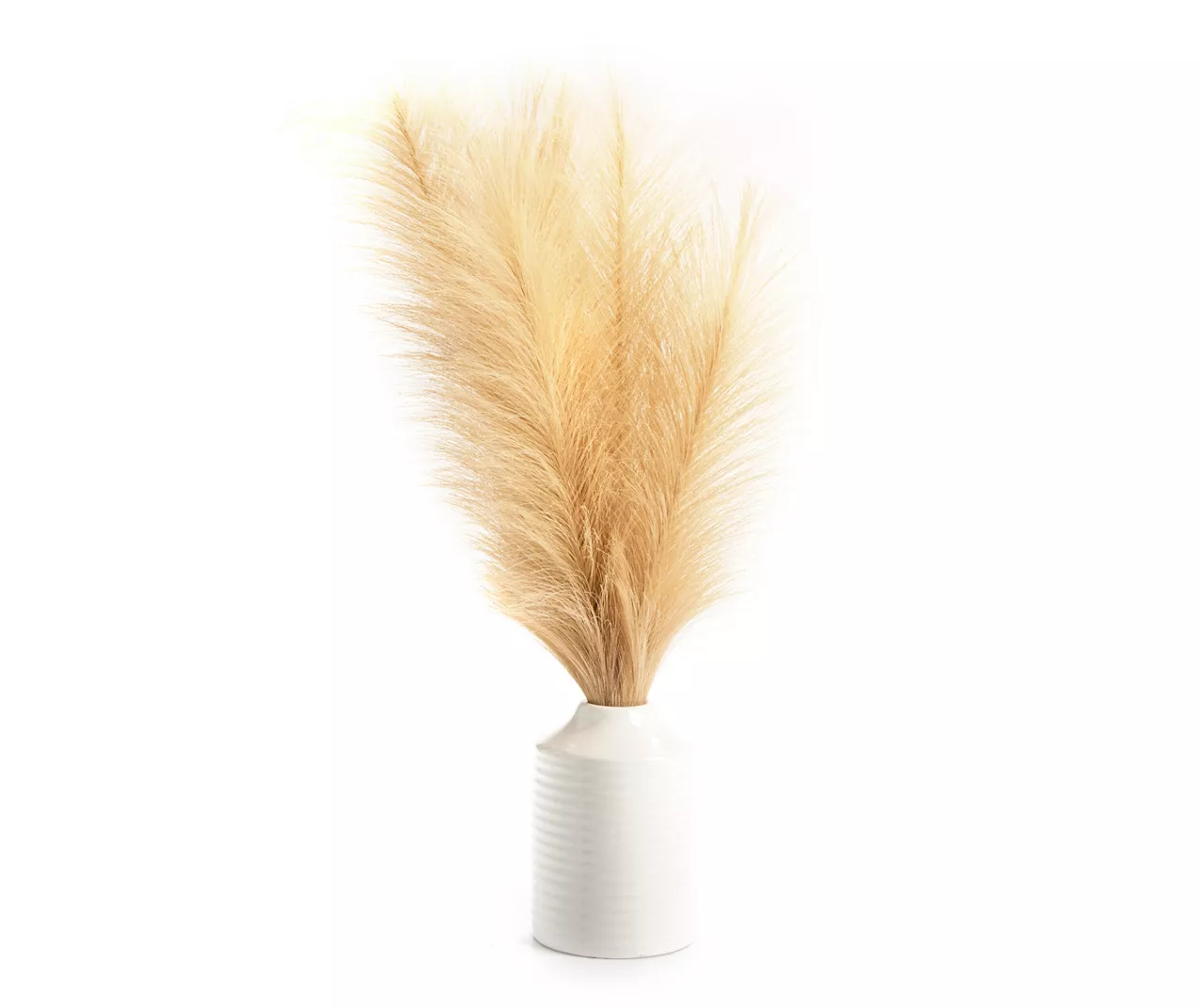 Tan Pampas Grass Arrangement With White Ceramic Pot 1 Tan Pampas Grass Arrangement With White Ceramic Pot